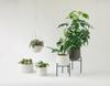 Kinto Plant Pot Earth 29199 191, Gray, 170x160mm,