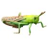 2Pcs Cartoon Locust Statue Vivid Animal Toys Funny Locust Animal Model  Garden