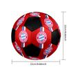 FC Bayern Munich Indoor Soccer Ball Colorful Machine Stitched PVC Size 5 Team Training Competition Ready Durable High-Bounce Cool Sports Gift