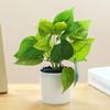 Artificial Plant Bonsai Unfading Decorate Exquisite Details Exquisite Small Tree Simulation Pot Plant for Home