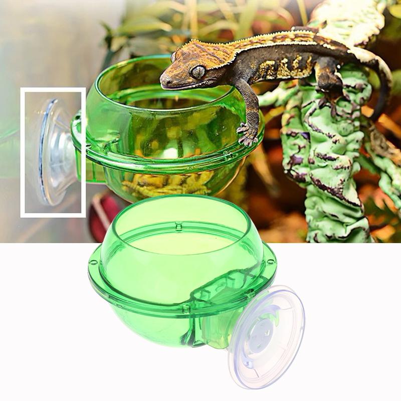 Arboreal Reptile Live Anti-Escape Sucker Feeder Bowl Insect Worm Food Container For Lizard Gecko Chameleon Reptile Pet Bowl