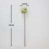 Fleurs Artificielles Clivia Miniata Multicolores Toucher Réel Pétales en Soie PU Fleur de Simulation Longue Tige Fausse Fleur Cadeau