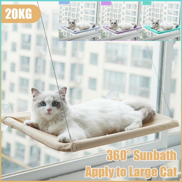 cat window bed walmart