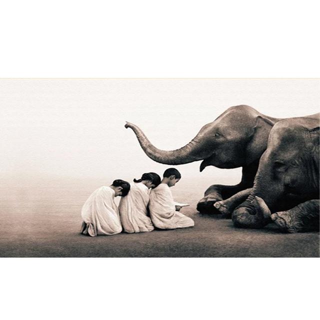 Buddha Zen Modern Black and White Elephant Pictures Canvas Painting Prints and Posters Living Room Office Wall Art Home Decor No Frame