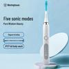 Westinghouse WT-501W Sonic Electric Toothbrush CN Plug (adapter Included)