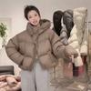 Warm Winter Small White Duck Down Hooded Warm Down Jacket Women's Winter New Short Half Placket Bread Jacket