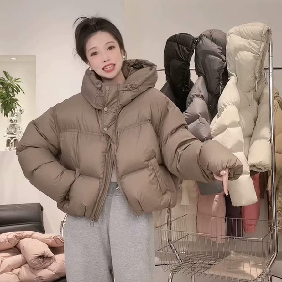 Warm Winter Small White Duck Down Hooded Warm Down Jacket Women's Winter New Short Half Placket Bread Jacket