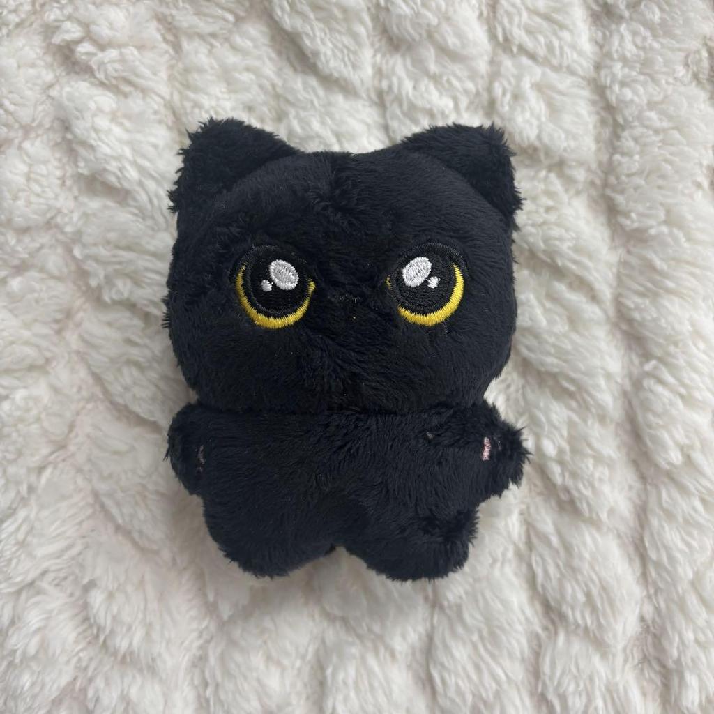 [USED] ENHYPEN J-Master Doll 10cm