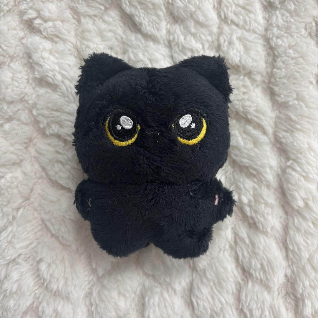 

[Б/У] ENHYPEN J-Master Кукла 10 см