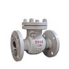 Dual-Purpose Flanged Swing Check Valve