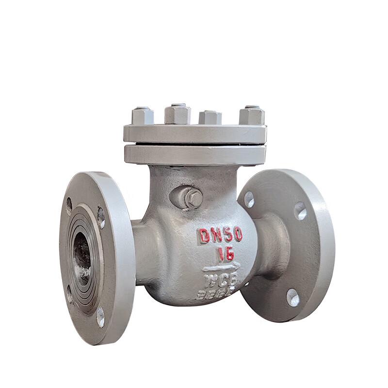 Dual-Purpose Flanged Swing Check Valve