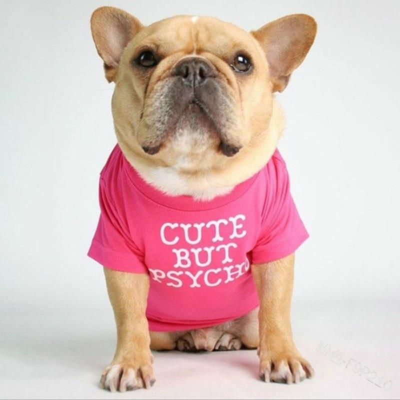 Dog Accessories Pet Vest Letter Printing Two-legged Dog Cloth Round Neck Vest