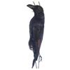 Stimulated Realistic Hanging Crow Black Feathered Bird Halloween Bar Ornaments Scary Prop Outdoor Scarecrow Garden Yard Decor