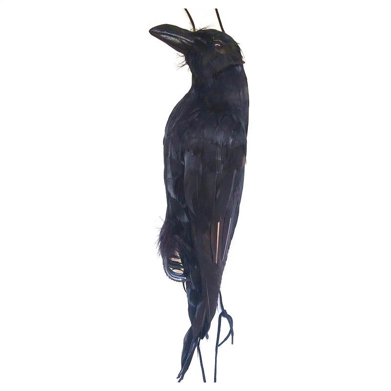 Stimulated Realistic Hanging Crow Black Feathered Bird Halloween Bar Ornaments Scary Prop Outdoor Scarecrow Garden Yard Decor