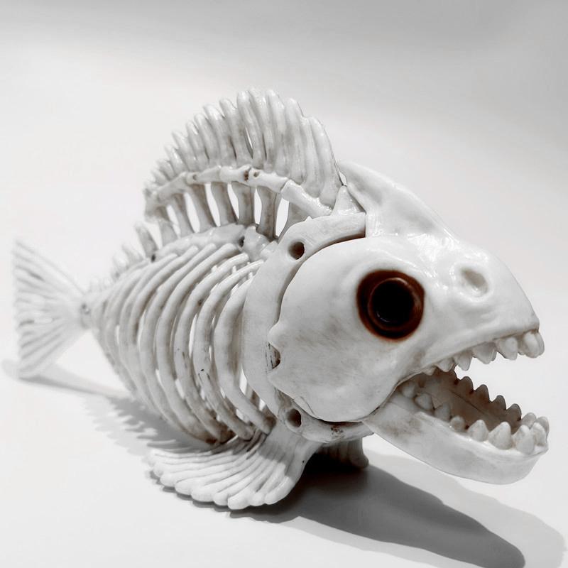 Halloween Fish Skull Bones Simulated Fish Skeleton Exquisite Design Decorate Horror Ornaments Creepy Decoration Party Props