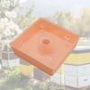 Acrylic Hummingbird Feeders Outdoor Beehive Top Feeder Square Beekeeping Water Feeder