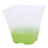 6 Set Clear Nursery Pots with Drainage Holes Silicone Base Lids 3in Plastic Reusable for Plants Starting