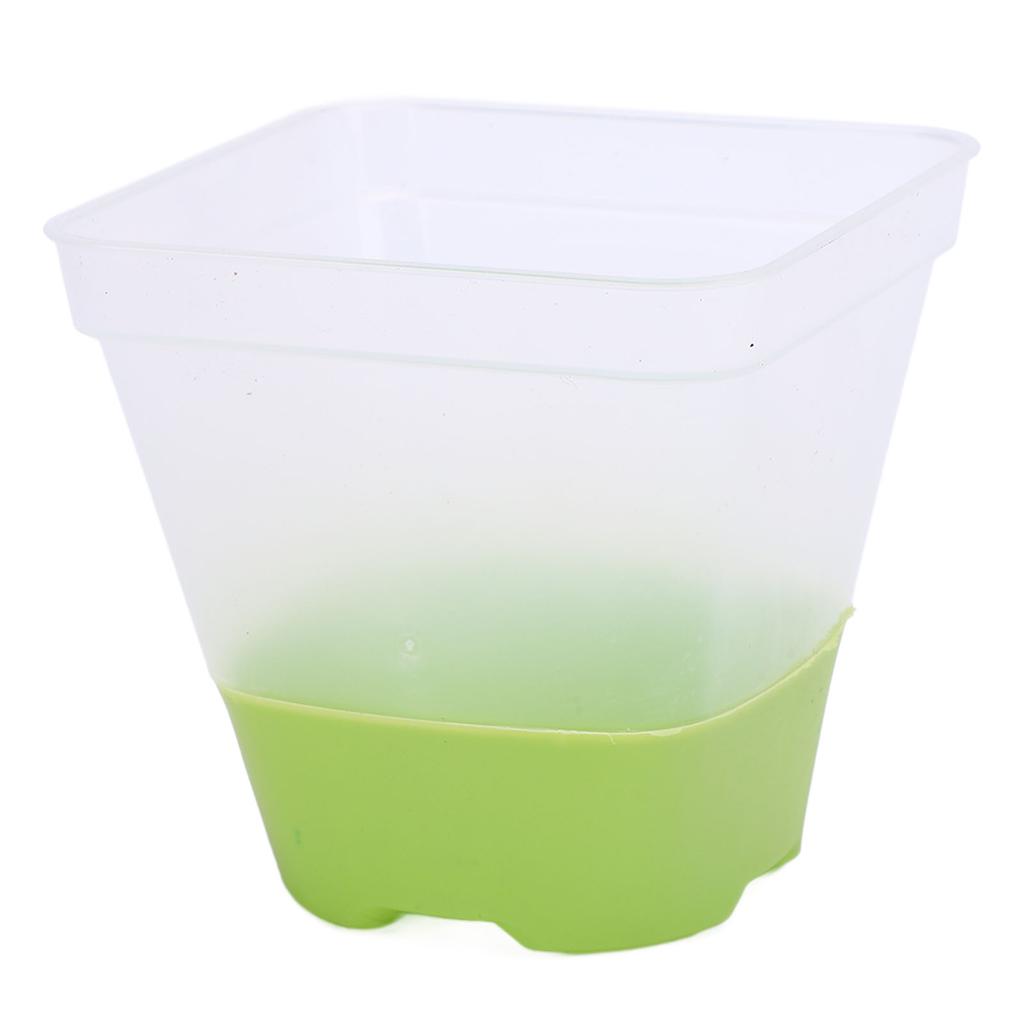 6 Set Clear Nursery Pots with Drainage Holes Silicone Base Lids 3in Plastic Reusable for Plants Starting