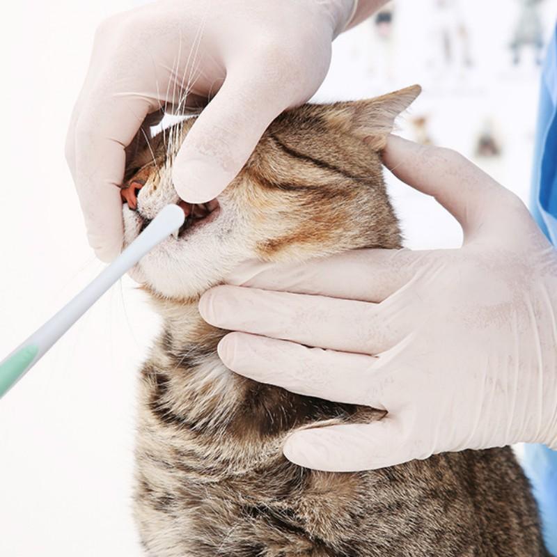 Dog Toothbrush Small Head Pet Toothbrush Soft Hair Tooth Brush for Dog Teeth Cleaning Oral Care Brush for Dogs Mouth Cleaning
