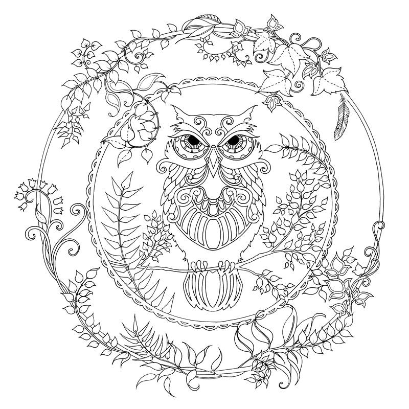 Magic Forest Adult Coloring & Stress Relief: Doodling & Drawing Picture Book for Students