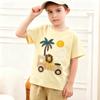 Boys' Short Sleeve T-Shirt for Summer Casual Everyday Wear