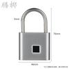 Outdoor Smart Fingerprint Padlock