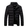 Herren 2024 Winter Stehkragen Daunen-Baumwolljacke
