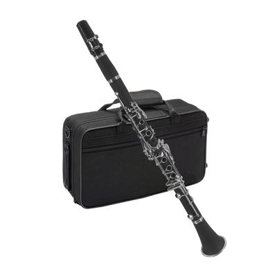 Clarinet ABS Bb Binocular Clarinet with 10 Reeds Cleaning Cloth Gloves Screwdriver Bracket Handbag