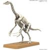 BANDAI SPIRITS (Bandai Spirits) Planosaurus Sterizinosaurus Color Coded Plastic Model