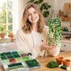 DIY Terrarium Making Kit with Glass Beads, Hanging Planter Supplies for Indoor Plants, Home Gardening Gift