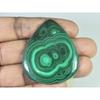 151Cts. Natural Green Malachite Pear Cabochon Loose Gemstone 43X51X05 MM B-398