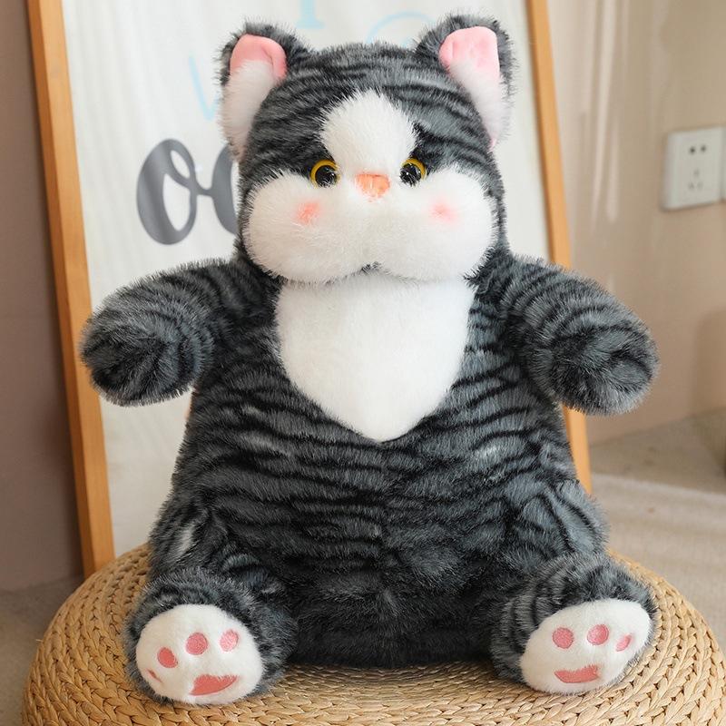 

Cute cute chubby kitten doll plush toy cat doll girl rag doll birthday gift 25cm（0.22kg）