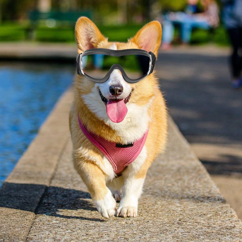 Protective Goggles for Dogs Pet Outdoor Goggles Lightweight Uv Resistant Windproof Snowproof Pc PVC Material Running Walking