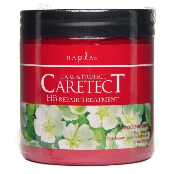 

NAPLA Caretect HB Repair Treatment 250g 650g Refill 600g Refill 1200g 250g