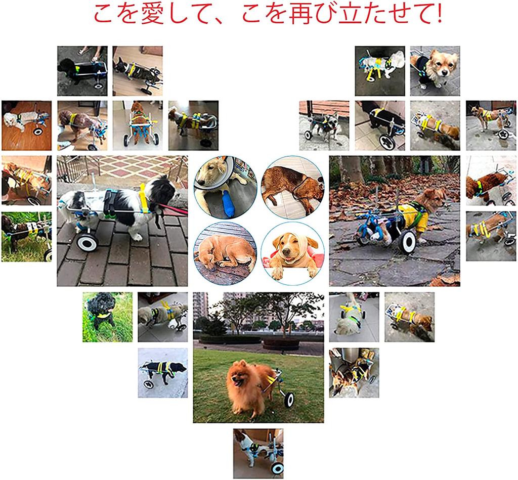 Pesa solo Minimo carico sugli animali domestici Sedia a rotelle pieghevole per cani anziani adatta per la riabilitazione cura ausiliaria per cani per passeggiate con animali domestici cani disabili