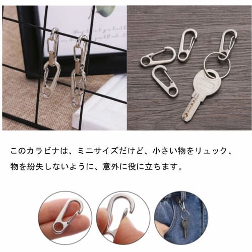 YFFSFDC Carabiner Snap Hooks, Pack of 10, 4.5cm, Mini Carabiners, SUS304 Stainless Steel, Lightweight, Durable, Stylish, Multifunctional, Spring Hooks