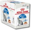 Royal Canin Indoor Gravy Wet Food Pouches for Indoor Adult Original Logo [12-Pack] Cats, 85g, Mail-In,