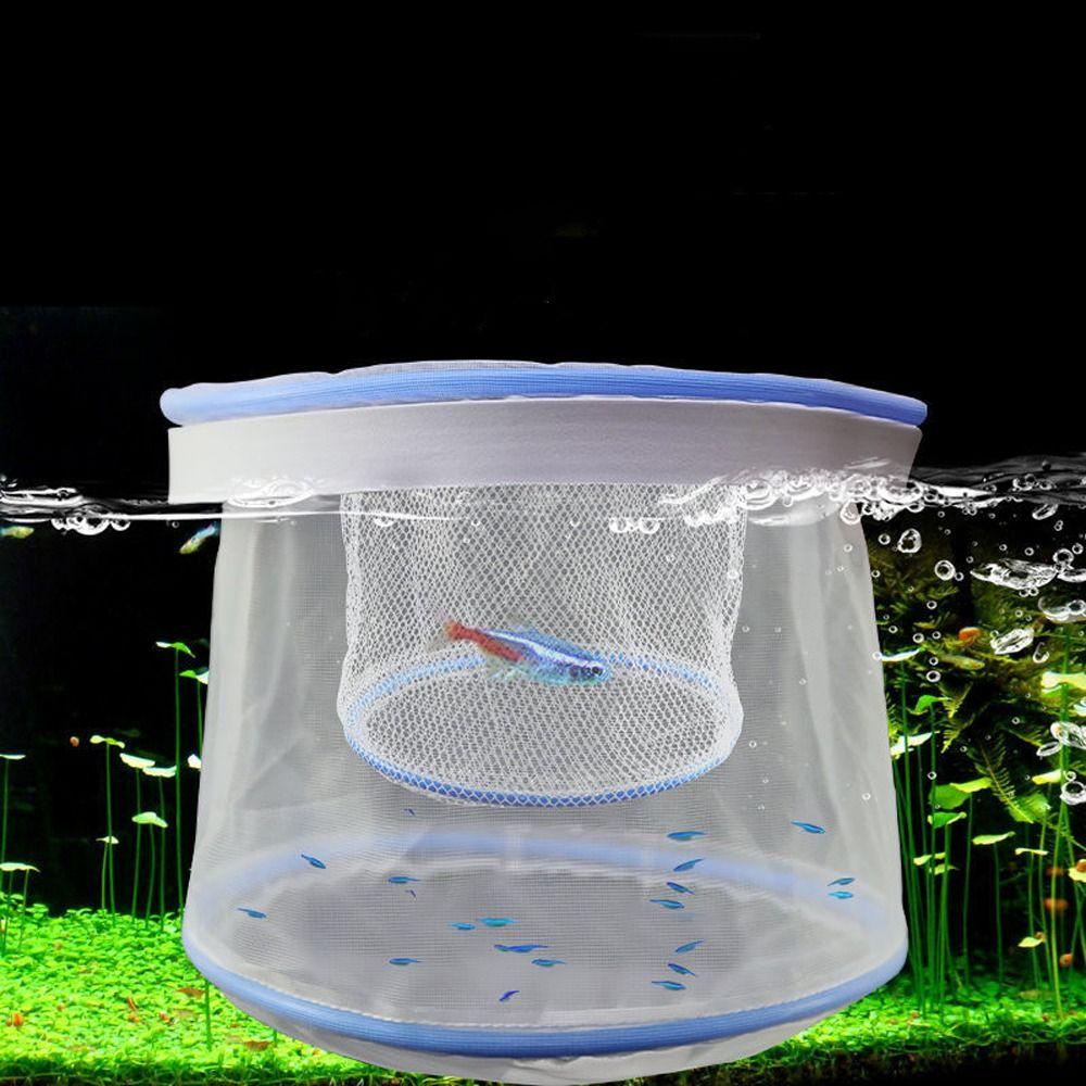 Ventilated Guppy Breeding Net Nylon Breeding Net Floating Fish Net Home Aquarium
