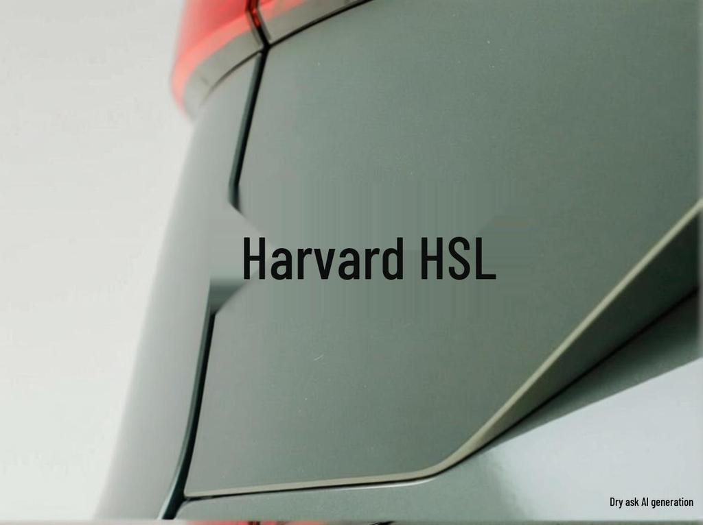 Fits 26 Haval H6L models: Blackened Personalized Tail Emblem, Non-Destructive Metal Installation.