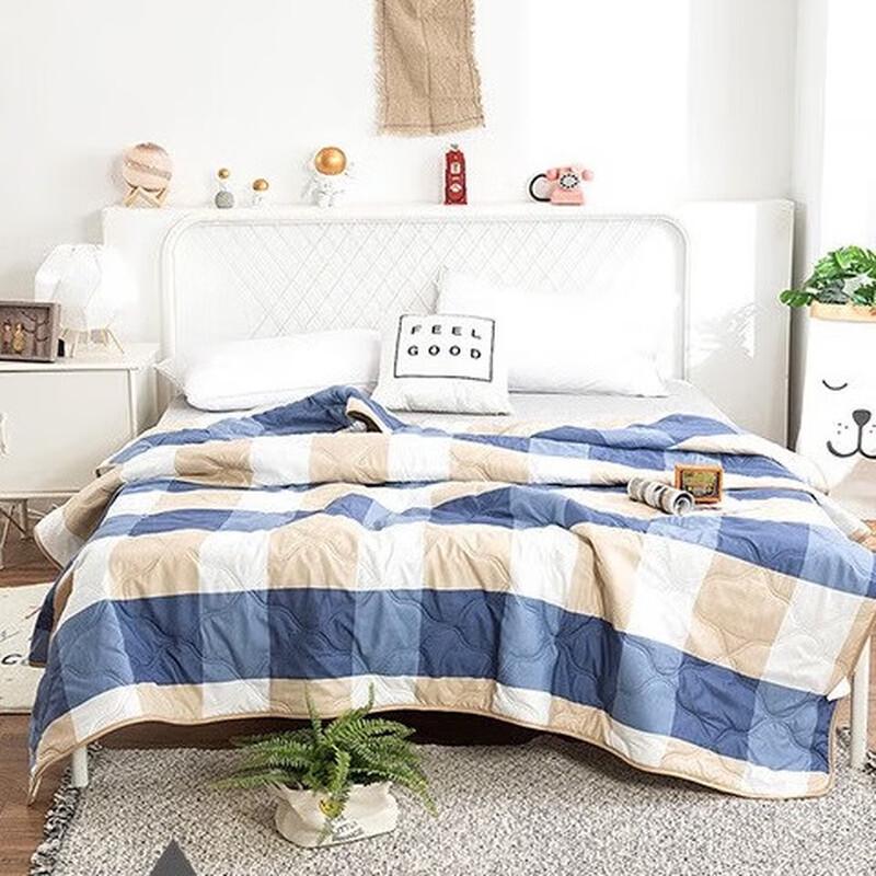 

Mr. Gong Brushed Printed Summer Quilt