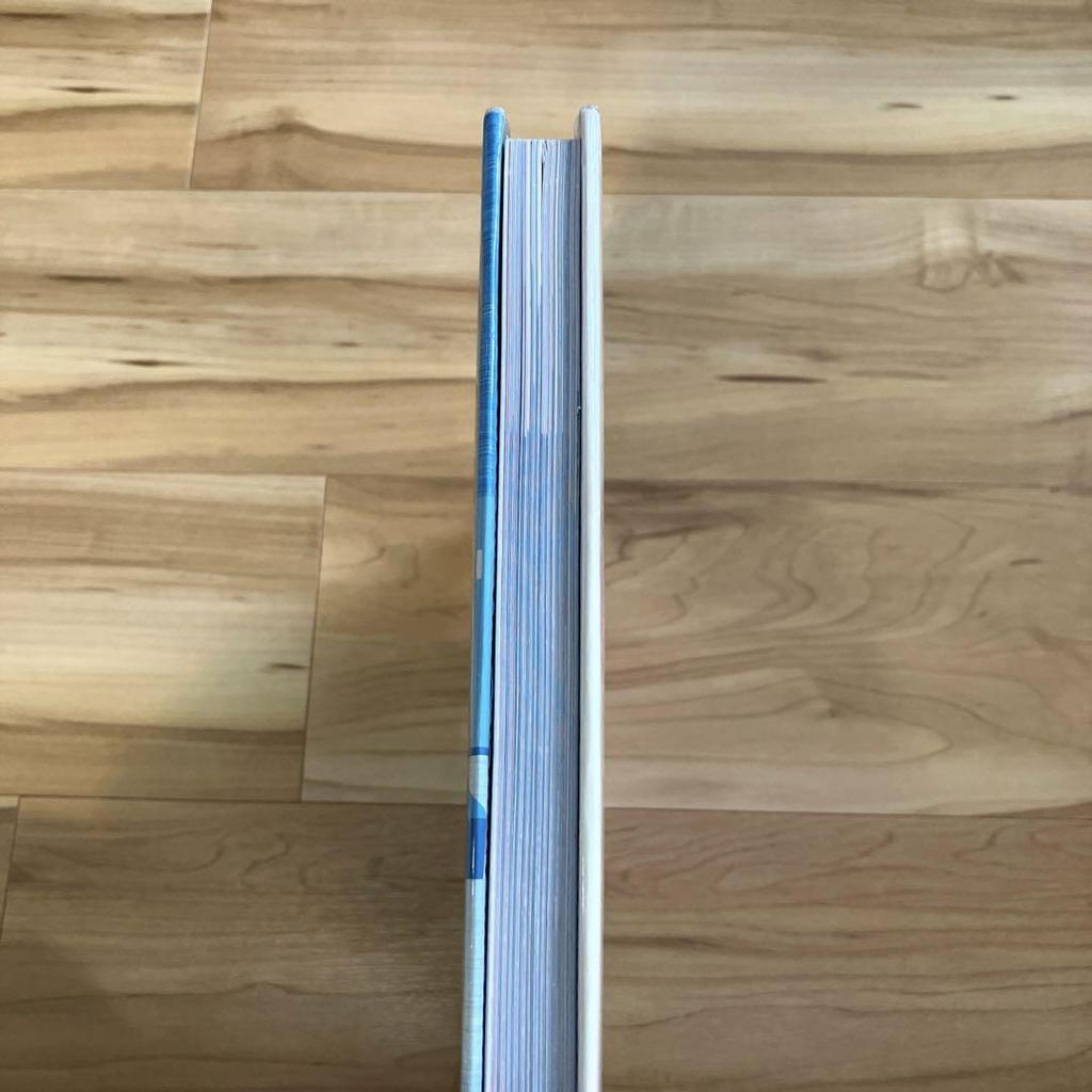 [USED] SHAG the Art of Josh Agle | SHAG Art Book