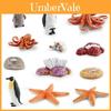 Realistic Ocean Animal Growth Cycle Model Set Featuring Octopus Penguin And Starfish