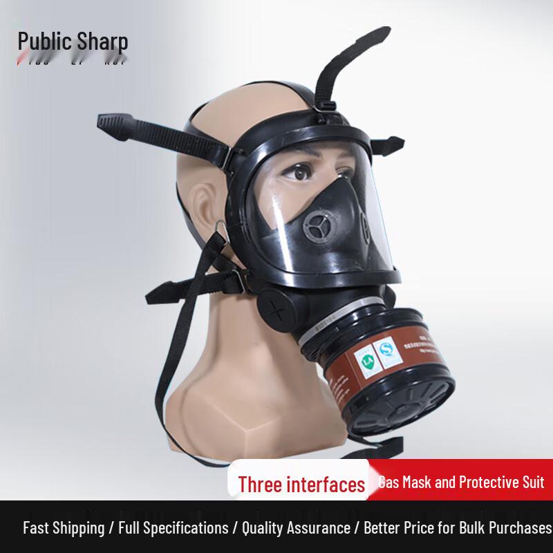 Youlirui Industrial Safety Gas Mask