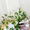 Artificial Plant No-Maintenance Long-Lasting Freshness Green Artificial Vine Realistic Texture Flexible Vines Faux