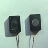 3020BOX AI Voice High-Fidelity 8 Ohm 2W Cavity Speaker with Composite Membrane for Advertising Machines