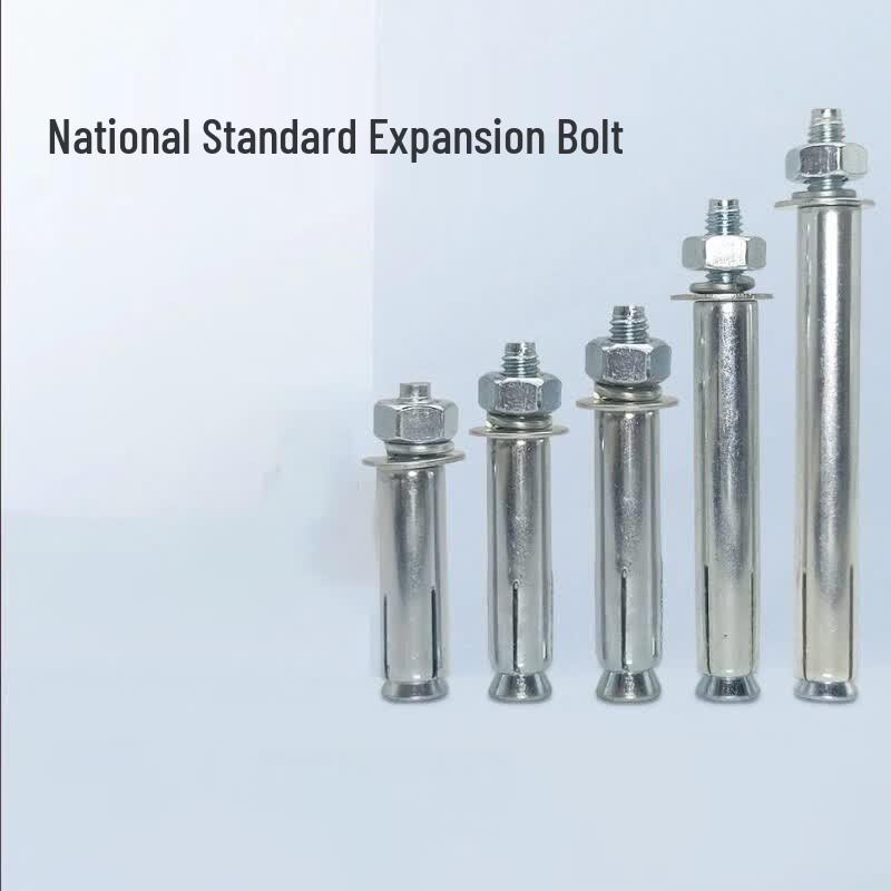 Gu Xin 12x80mm Expansion Bolt Pack