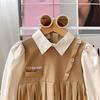 Girl's Spring/Autumn Princess Dress: Academic Style Toddler Skirt TQ165