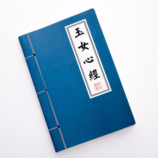 Vintage Chinese Scriptures Martial Arts Kongfu A5 Notebooks Stationery Supplies