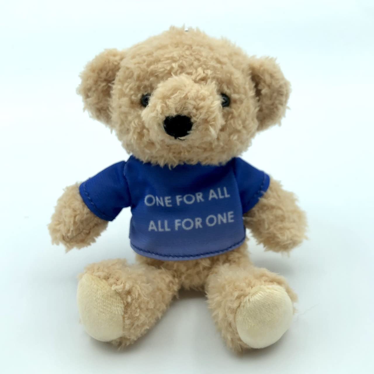 Stand by Me Bear I m Always By Your Side Keychain One for All SBMB012