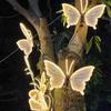 Luz Dinâmica de Jardim de Borboletas para Árvores ao Ar Livre